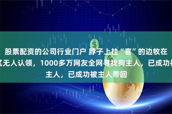 股票配资的公司行业门户 脖子上挂“喜”的边牧在高速服务区无人认领，1000多万网友全网寻找狗主人，已成功被主人带回