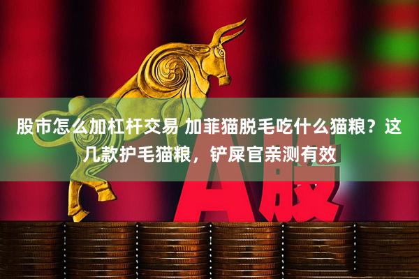 股市怎么加杠杆交易 加菲猫脱毛吃什么猫粮？这几款护毛猫粮，铲屎官亲测有效