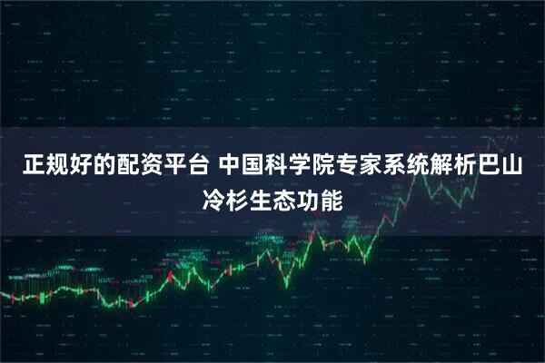 正规好的配资平台 中国科学院专家系统解析巴山冷杉生态功能