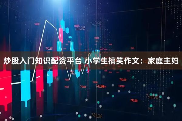 炒股入门知识配资平台 小学生搞笑作文：家庭主妇